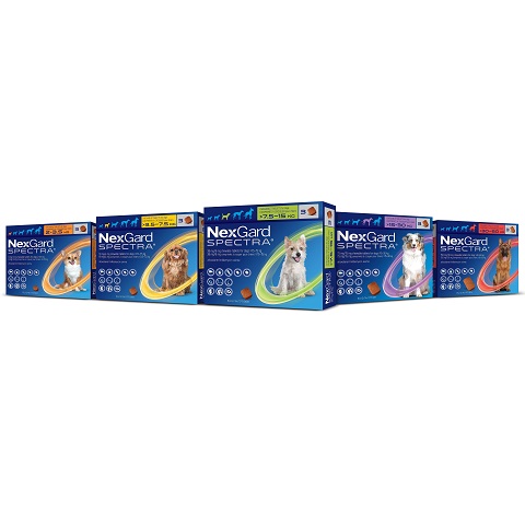 Buy nexgard spectra store uk